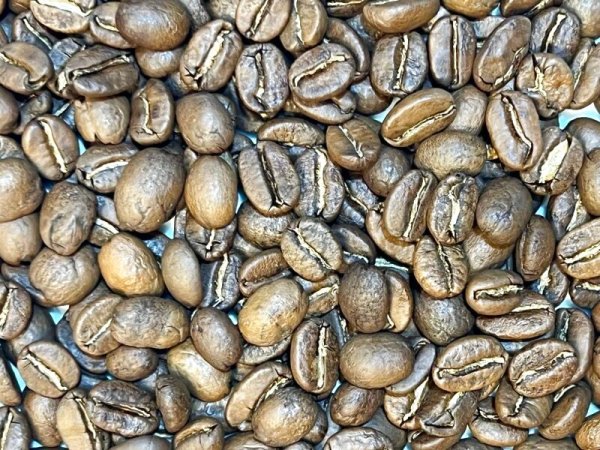画像1: コロンビア 100g 〜 500g (1)